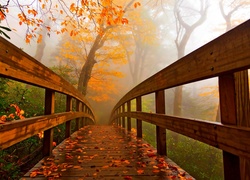 Drewniany, Most, Jesień, Park, Drzewa, Mgła