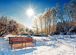 Zima, Śnieg, Drzewa, Ławka, Promienie Słońca, Park