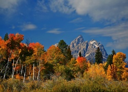 Jesień, Park, Narodowy, Wyoming