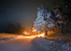 Zima, Noc, Droga, Drzewa, Padający, Śnieg, Oświetlenie