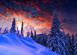 Zima, Śnieg, Las, Góry, Zachód, Słońca, Drzewa