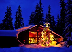 Boże Narodzenie, Dom, Noc, Choinka