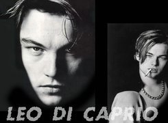 Leonardo DiCaprio,papieros, łańcuch