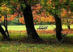 Jesień, Park, Ławka