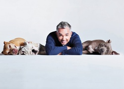 Cesar Millan, Psy