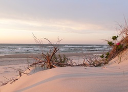 Morze Bałtyckie, Polska, Plaża, Niebo