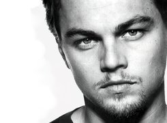 Leonardo DiCaprio,jasne oczy, bródka