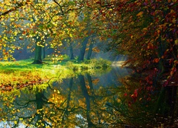 Jesień, Rzeka, Park