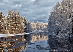 Zima, Śnieg, Rzeka, Las, Drzewa