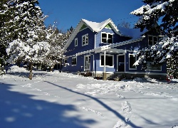 Zima, Drzewa, Dom, Śnieg