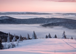 Zima, Śnieg, Drzewa, Mgła, Wzgórza