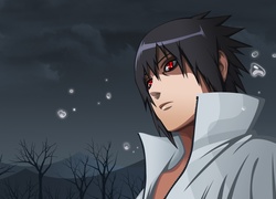 Naruto, Sasuke Uchiha