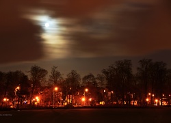 Park, Wieczór, Drzewa, Księżyc