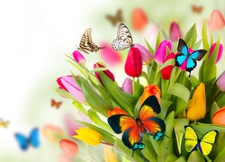 Kwiaty, Wiosna, Tulipany, Motyle, 2D