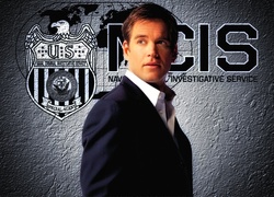 Michael Weatherly, Serial, Agenci NCIS