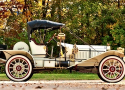 Samochód, Zabytkowy, Packard, 1912, Drzewa