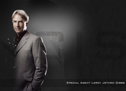 Serial, Agenci NCIS, Mark Harmon