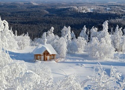 Zima, Las, Góry, Budowla, Cerkiew