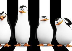 Pingwiny z Madagaskaru, The Penguins of Madagascar, Postacie