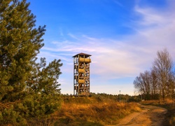 Wieża widokowa, Osowa Góra, Mosina