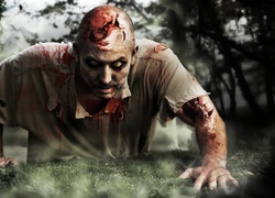 Zombi, krew, Las