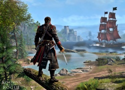 Assassins Creed, Rogue