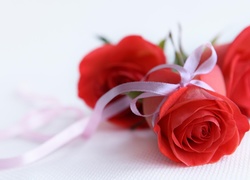 Róża, Kwiaty, Walentynki, Imieninu