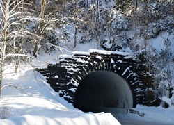 Zima, Śnieg, Tunel. Las, Drzewa