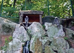Orły, Skały, Drzewa