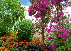 Ogród, Kwiatowy