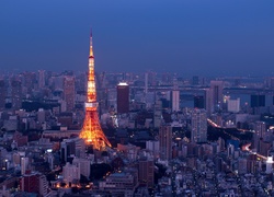 Noc, Miasto, Azja, Japonia, Tokio
