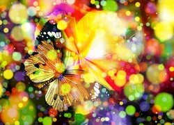 Kolorowy, Bokeh, Motyl, Grafika 2D
