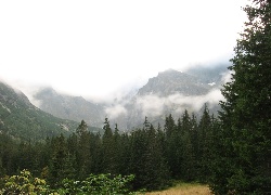 Polska, Zakopane, Góry, Mgła