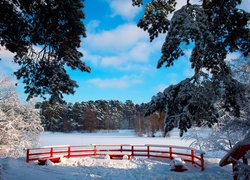 Zima, Lasy, Gałęzie, Czerwona, Poręcz