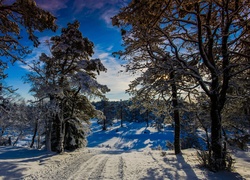 Zima, Droga, Drzewa, Wonderland, Norwegia, Zimowe, Słońce