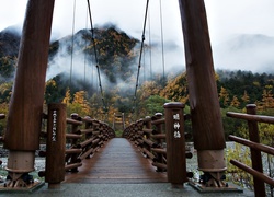 Most, Góry, Jesień, Drzewa, Mgła