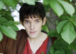 Serial, Przygody Merlina, The Adventures of Merlin, Aktor, Colin Morgan