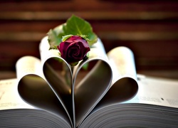 Książka, Kartki, Róża, Walentynki, Miłosne