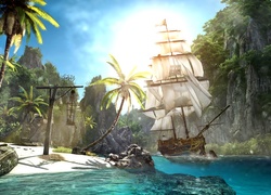 Assassins Creed, Assassins Creed 4 Black Flag