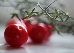 Pomidory, Koktajlowe, Gałązka
