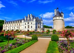 Zamek, Chenonceau, Ogród, Francja