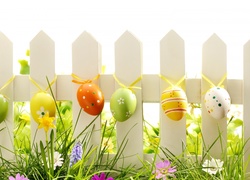 Wielkanoc, Płot, Jajka, Trawa, Kwiaty