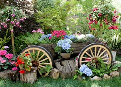 Ogród, Kwiaty, Wózek