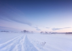 Zima, Śnieg