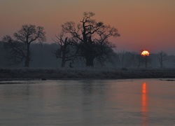 Wschód słońca, Rogalin, Jezioro, Mgła