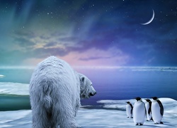 Niedźwiedź, Polarny, Pingwiny