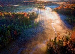 Jesień, Las, Rzeka, Mgła, Promienie Słońca, Z Lotu Ptaka