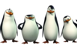 Ptaki, Pingwiny z Madagaskaru, The Penguins of Madagascar