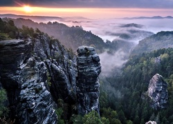 Góry, Alpy, Zachód Słońca, Drzewa, Mgła