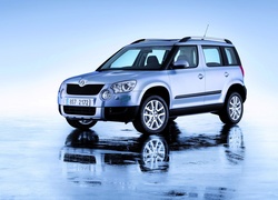 Srebrna, Skoda, Yeti